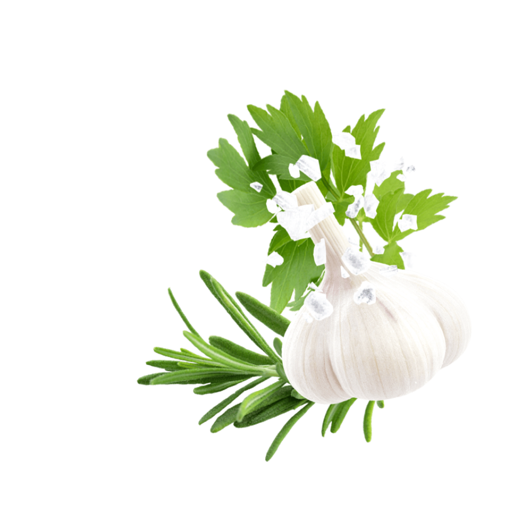 Knoblauchsalz mit Rosmarin und Liebstoeckel