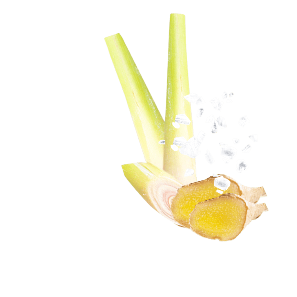 Meersalz Ingwer Zitronengras