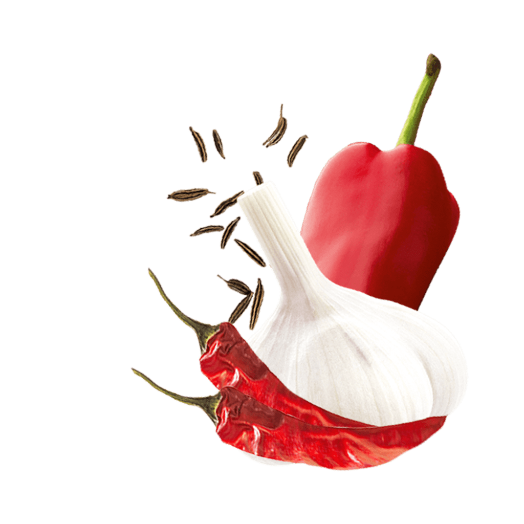 Grillgewuerzsalz Kotanyi Content Kr